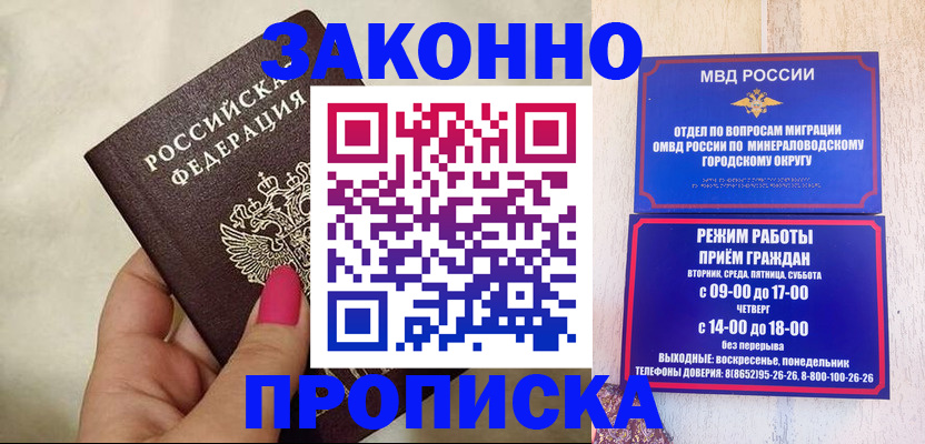 прописка для школы в Звенигово